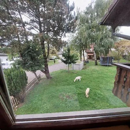 Ruheoase Im Suedschwarzwald